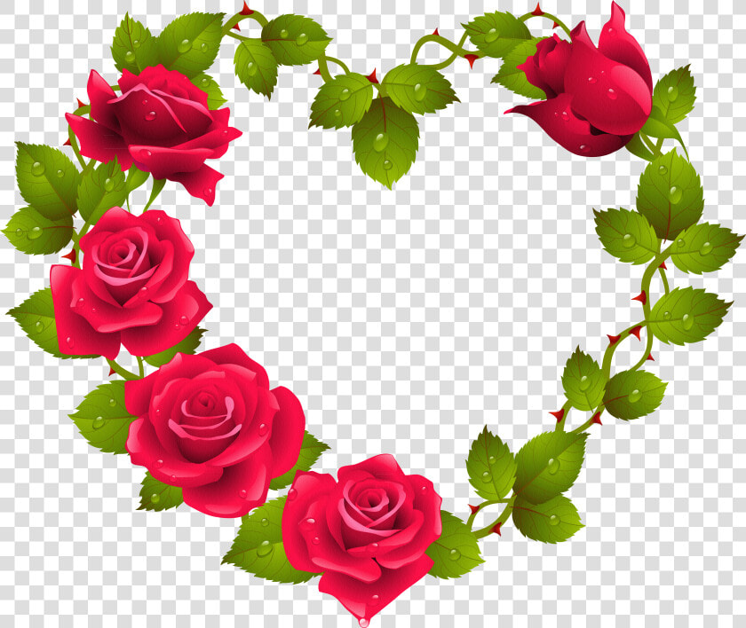 Red Rose Flower Border Design Png   Beautiful Rose Image Download  Transparent PngTransparent PNG