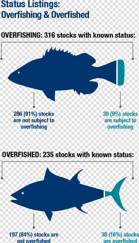 Overfished Stocks  HD Png DownloadTransparent PNG