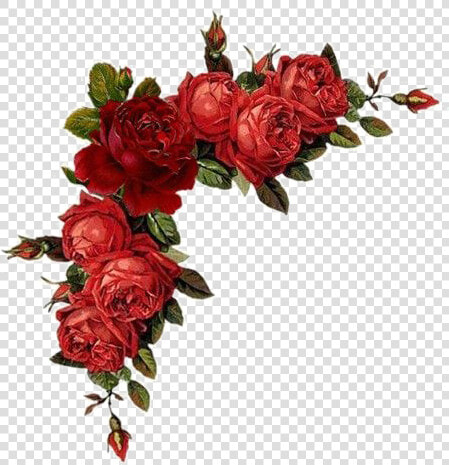 Red Flowers Png   Red Flowers Border Png  Transparent PngTransparent PNG