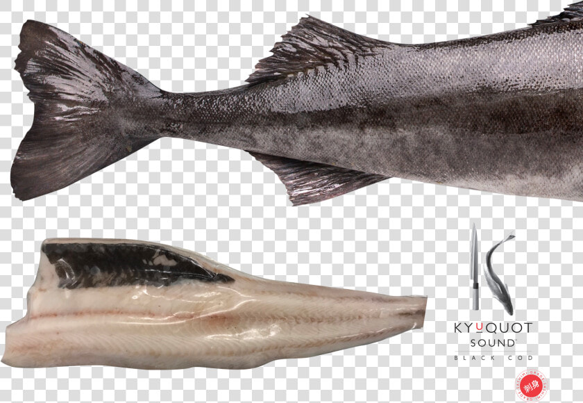 Sablefish  HD Png DownloadTransparent PNG