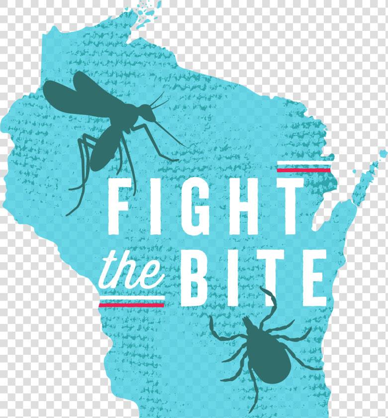 Awareness Of Vector Borne Disease Poster  HD Png DownloadTransparent PNG