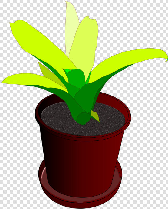 Plant flower leaf   Desenho Vaso De Planta Png  Transparent PngTransparent PNG