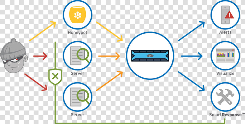 Honeypot Diagram   Honeypot Security  HD Png DownloadTransparent PNG