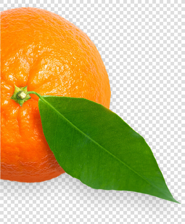 Transparent Clementine Png   Bitter Orange  Png DownloadTransparent PNG