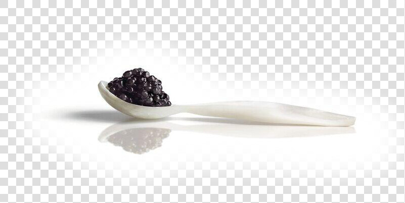 Frijoles Negros  HD Png DownloadTransparent PNG