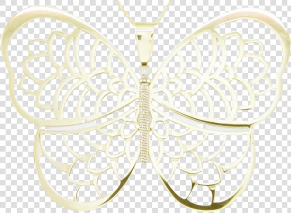 Brush footed Butterfly  HD Png DownloadTransparent PNG