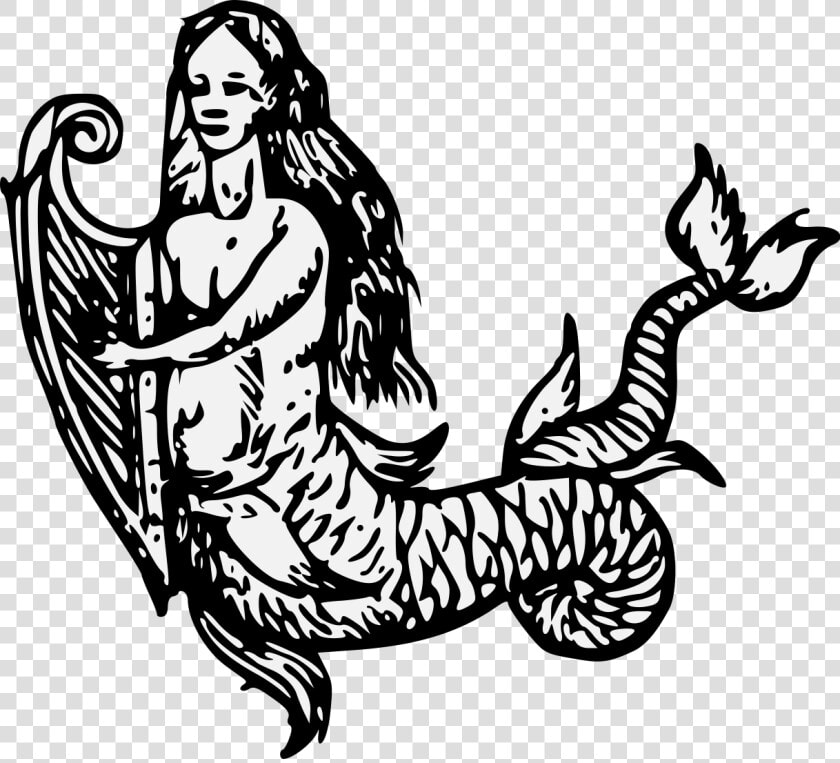 Mermaid Heraldry  HD Png DownloadTransparent PNG