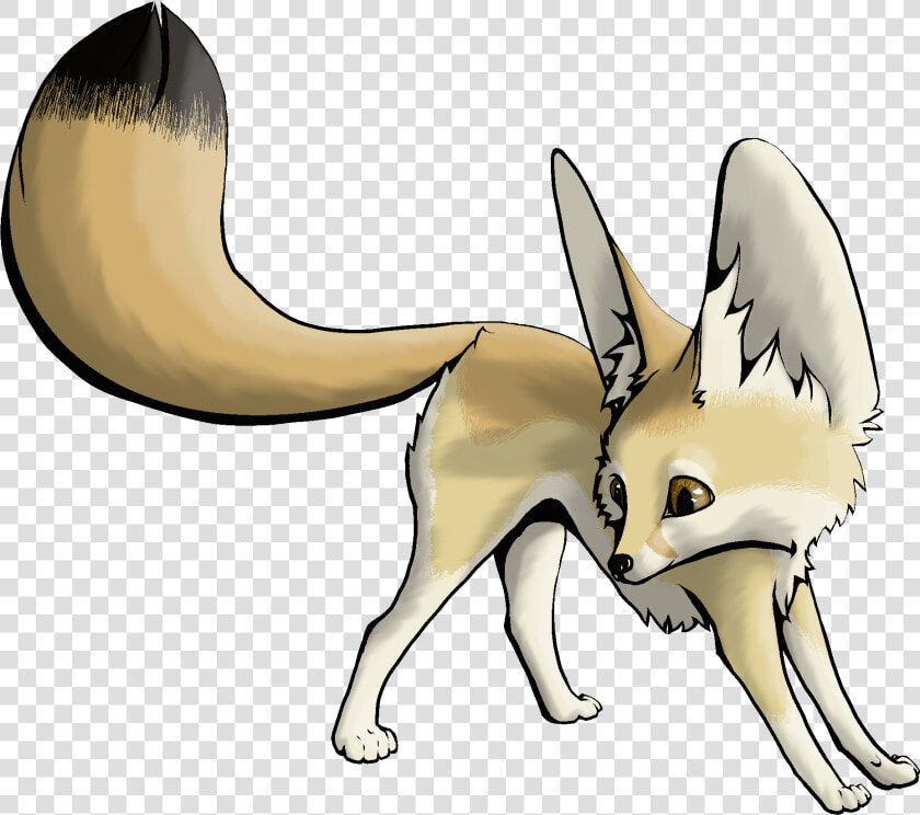 Arctic Fox Clipart Desert Fox   Draw A Fennec Fox  HD Png DownloadTransparent PNG