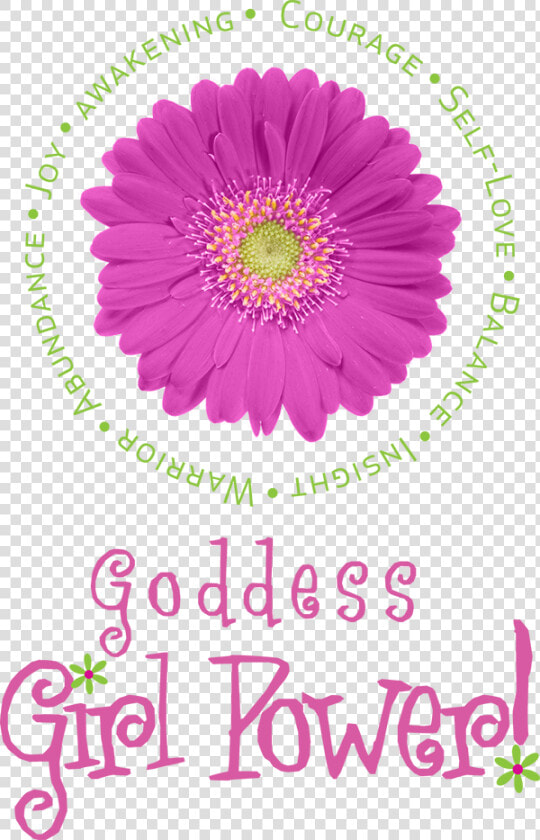 Goddess Girl Power   Barberton Daisy  HD Png DownloadTransparent PNG