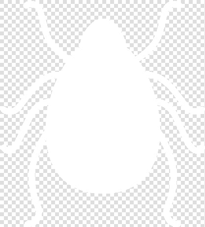 Weevil  HD Png DownloadTransparent PNG