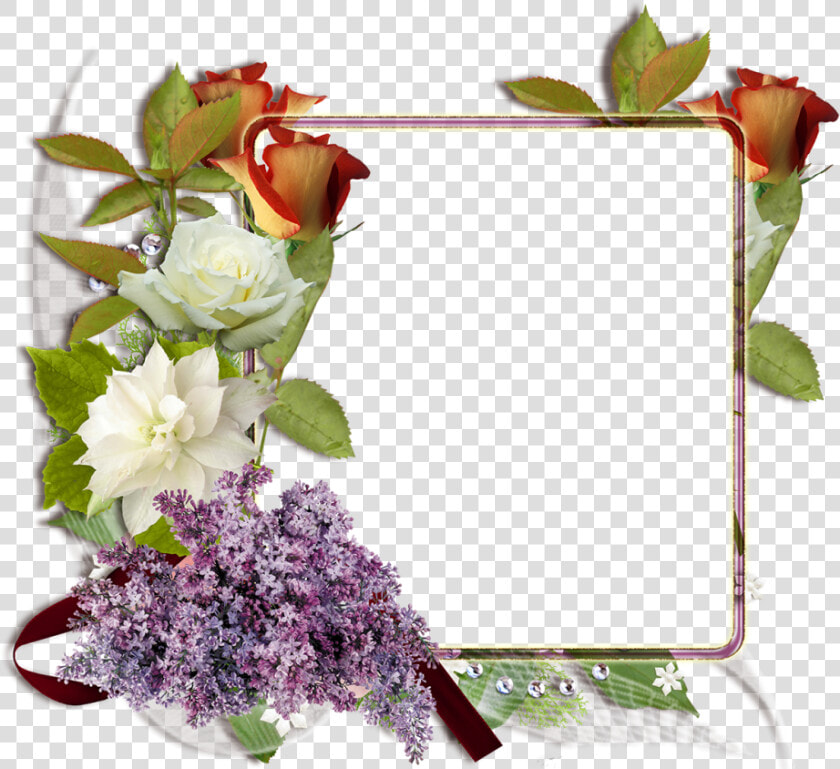 Fotomontaje Con Rosas Blancas Y Rojas   Marcos De Rosas  HD Png DownloadTransparent PNG