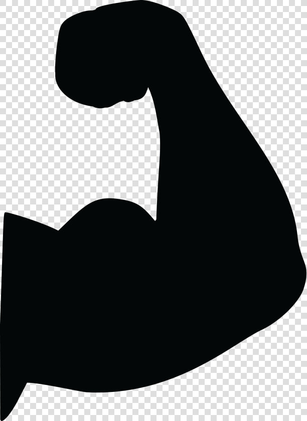 Biceps Arm Muscle Clip Art   Bicep Clipart  HD Png DownloadTransparent PNG