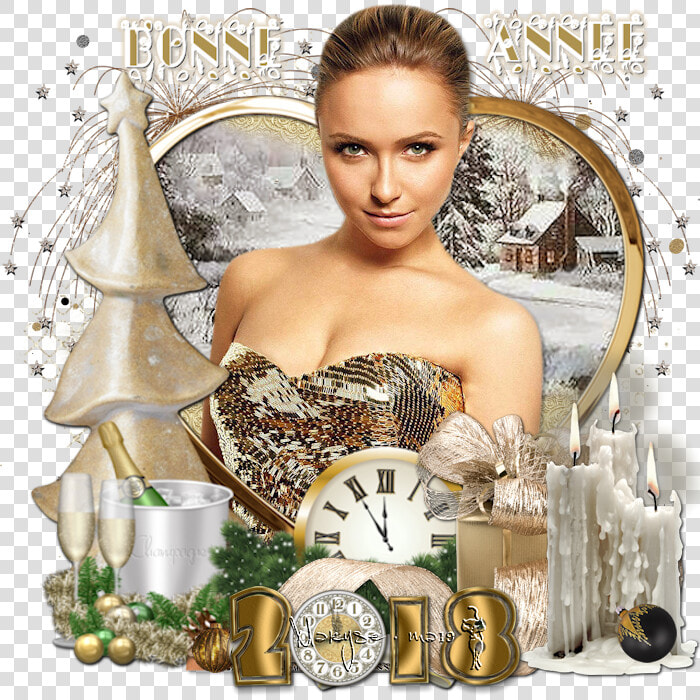 Bonne Année 2018   Hayden Panettiere Hot  HD Png DownloadTransparent PNG