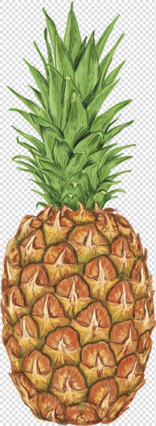 Vinilo Comida Piña Acuarela   Dancing Pineapple Gif  HD Png DownloadTransparent PNG