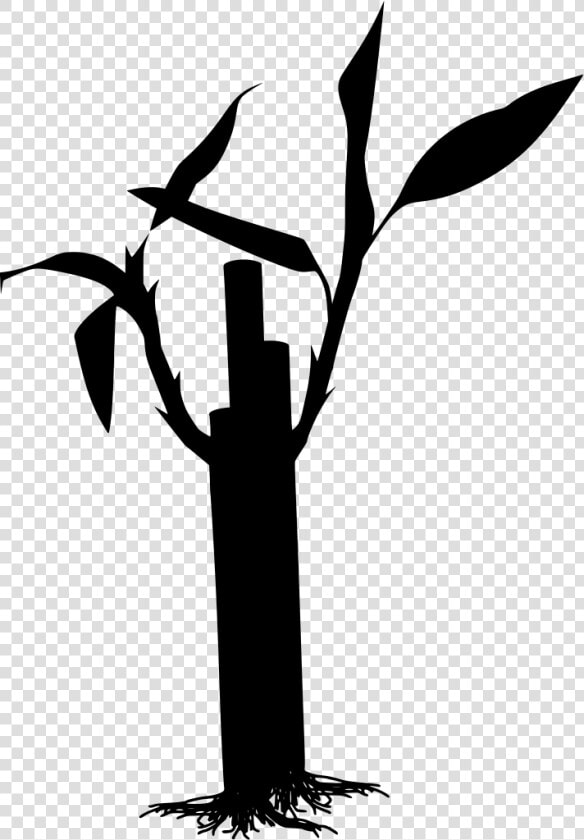 Pohon Bambu Vector Png Clipart   Png Download   Transparent Background Bamboo Clipart  Png DownloadTransparent PNG