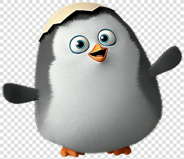  madagascar  penguins  cute   Pinguino De Madagascar Bebe  HD Png DownloadTransparent PNG