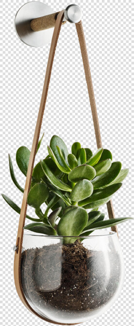 Design With Light Hanging Pot And Peg By Holmegaard   Interior Plant Png  Transparent PngTransparent PNG