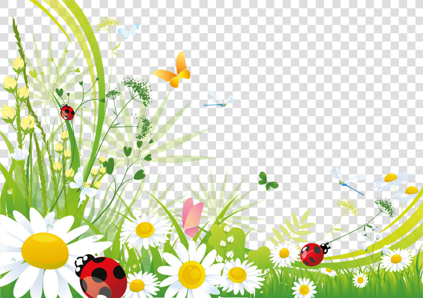 Free Desktop Backgrounds   Vector Graphics  HD Png DownloadTransparent PNG