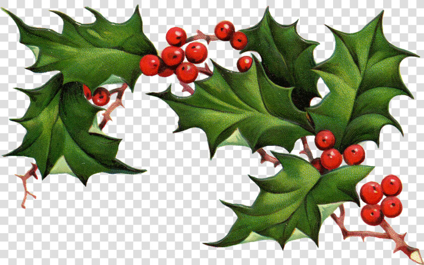 Christmas Holly Border Free Clipart Free Clip Art Images   Christmas Holly Clipart Free  HD Png DownloadTransparent PNG