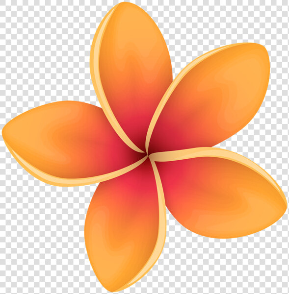 Orange Tropical Flower Clip Art Image Gallery Yopriceville   Transparent Background Tropical Flower Clipart  HD Png DownloadTransparent PNG