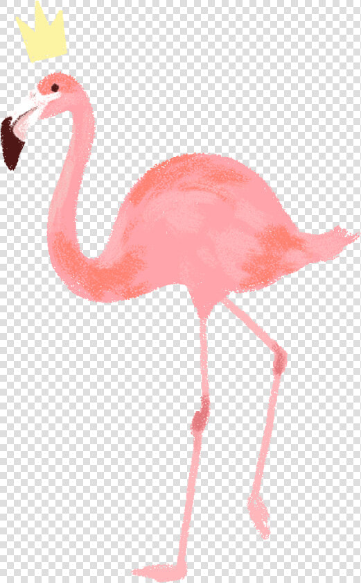 Flamingo Png Animated S Vintage Sticker   Flamingo Flower Background Crown  Transparent PngTransparent PNG