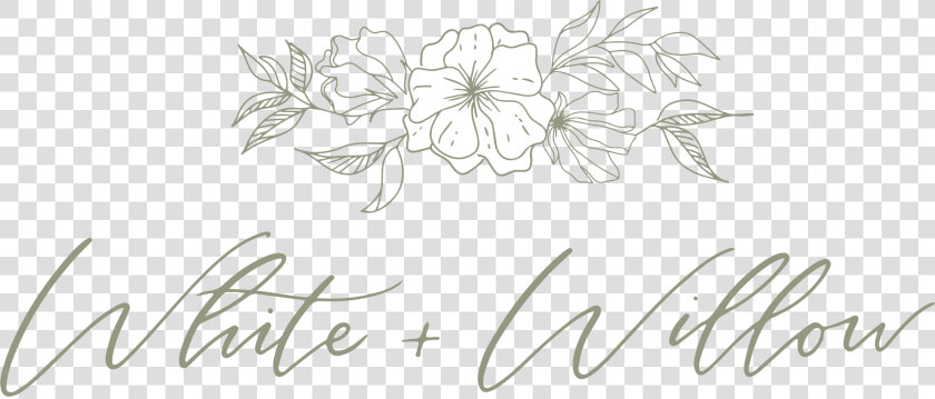 Chrysanths  HD Png DownloadTransparent PNG