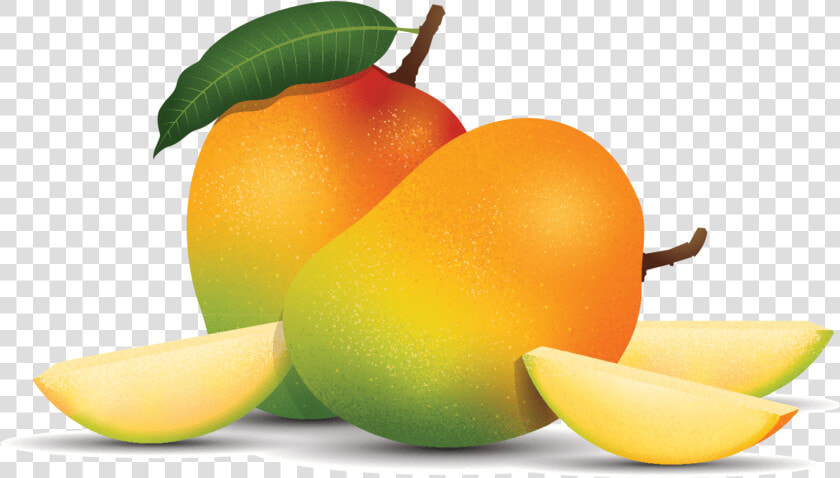 Tangerine  HD Png DownloadTransparent PNG