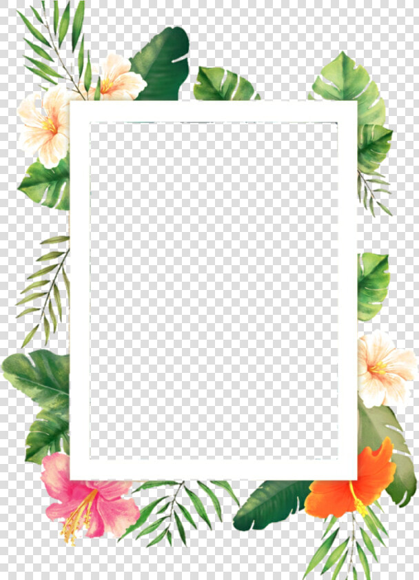 Flowers Png Marco   Marco Sticker Png  Transparent PngTransparent PNG