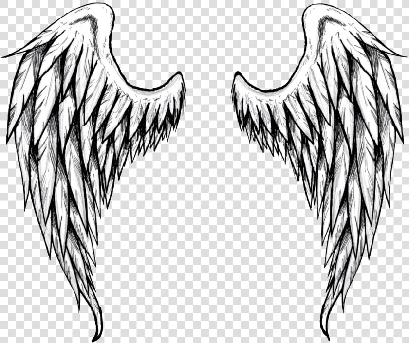 Archangel Drawing Free Download On Unixtitan   Open Angel Wings Drawing  HD Png DownloadTransparent PNG