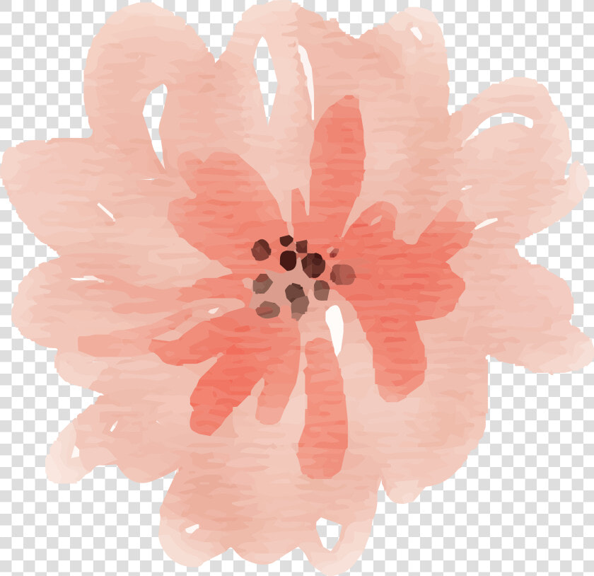 Free Watercolor Flower Images Peach Delight Watercolor   Peach Flower Watercolor Png  Transparent PngTransparent PNG