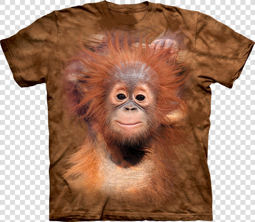 Baby Orangutan Cool Tees And Gear   Animal T Shirts  HD Png DownloadTransparent PNG