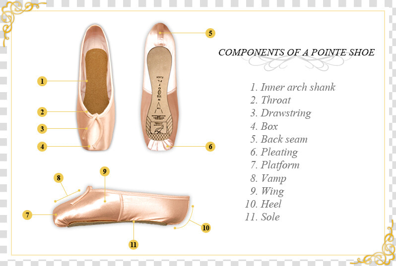 Pointe Shoes Components  HD Png DownloadTransparent PNG