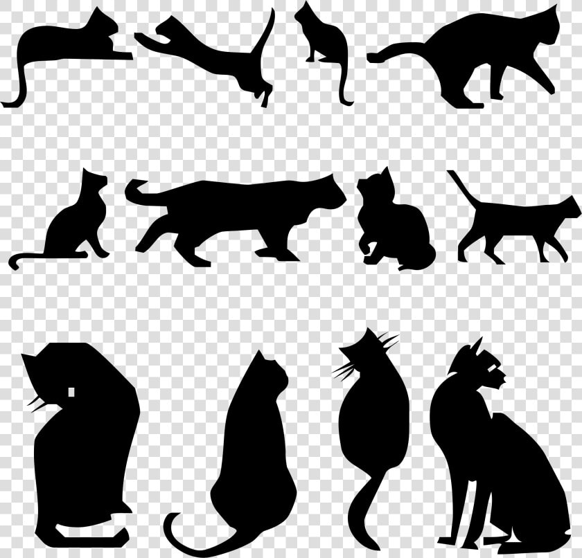 Twelve Stylized Cats Silhouettes Clip Arts   Silhouette Cat Kitten Clipart  HD Png DownloadTransparent PNG