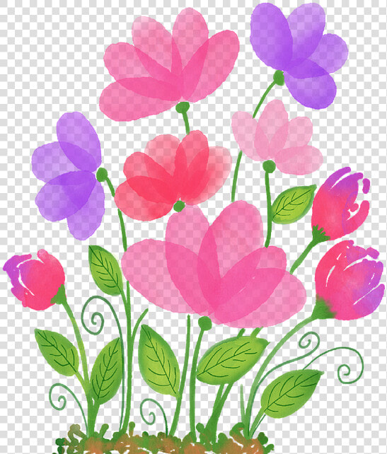 Primula  HD Png DownloadTransparent PNG