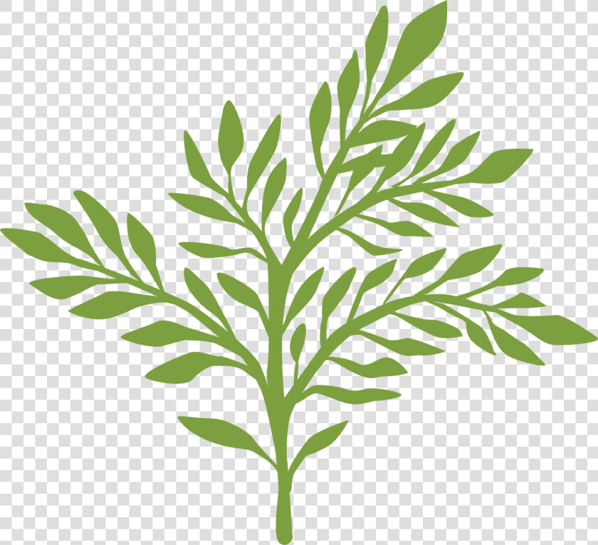 Greenery Svg Cut File   Greenery Svg  HD Png DownloadTransparent PNG