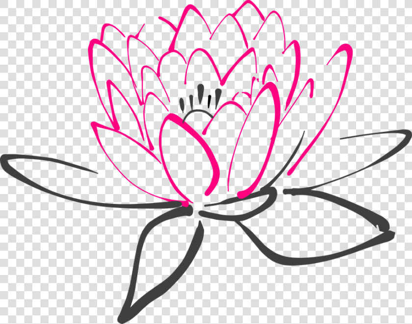 Water Lily  Flower  Pink  Lotus  Lily  Blossom  Bloom   Clear Background Flowers Cartoon  HD Png DownloadTransparent PNG