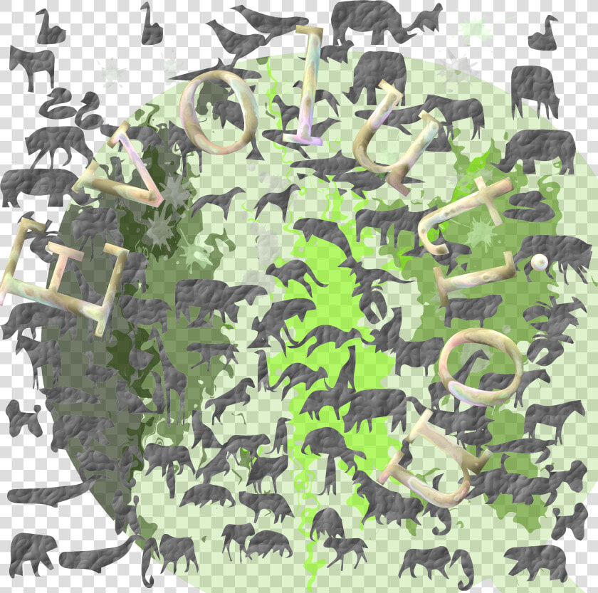 Plant military Camouflage tree   Herd  HD Png DownloadTransparent PNG