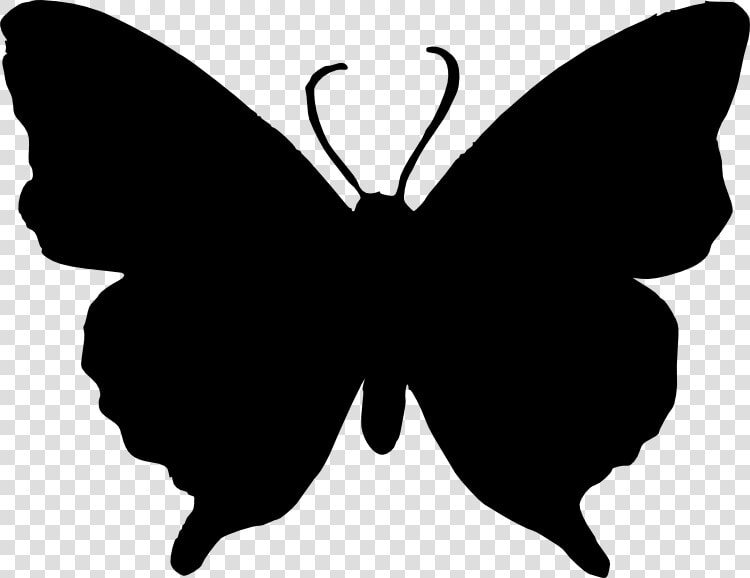 Butterfly Silhouette Clip Art   Butterfly Png Black And White  Transparent PngTransparent PNG