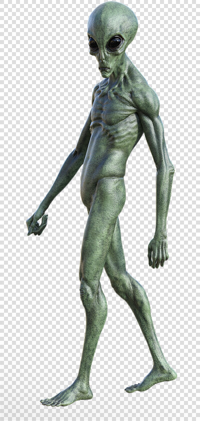 Transparent Alien Png   Alien Png  Png DownloadTransparent PNG