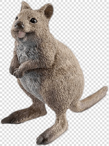 Quokka Figurine   Schleich Rat  HD Png DownloadTransparent PNG