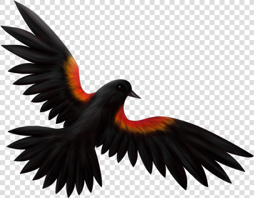 Download Svg Library Download Clip Art At Clker Com   Red Winged Blackbird Clipart  HD Png DownloadTransparent PNG