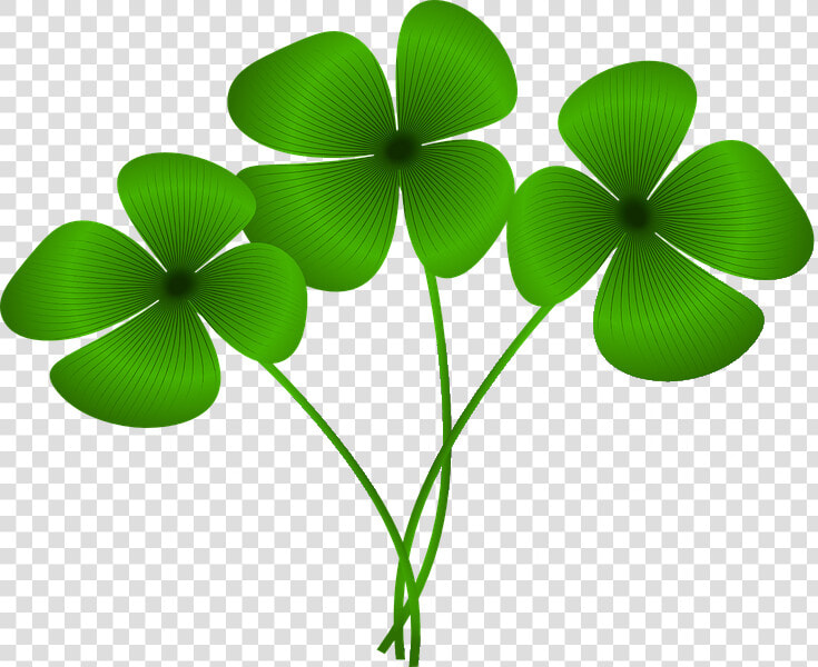 Clover Clipart Good Luck   Best Of Luck In Marathi  HD Png DownloadTransparent PNG