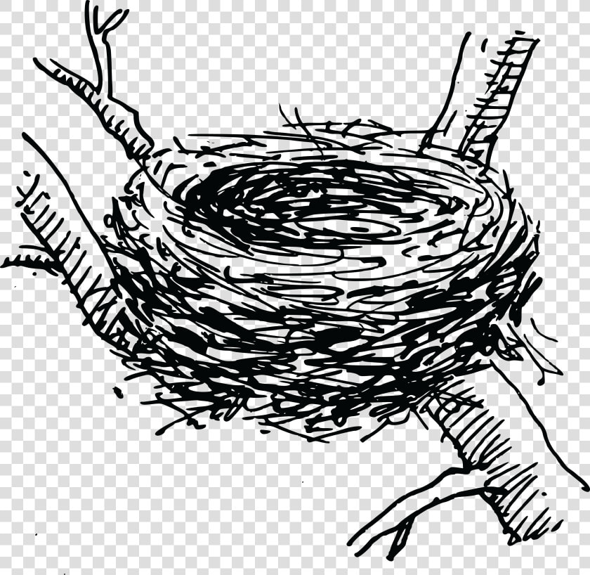 Free Clipart Of A Bird Nest   Clip Art Bird Nest  HD Png DownloadTransparent PNG