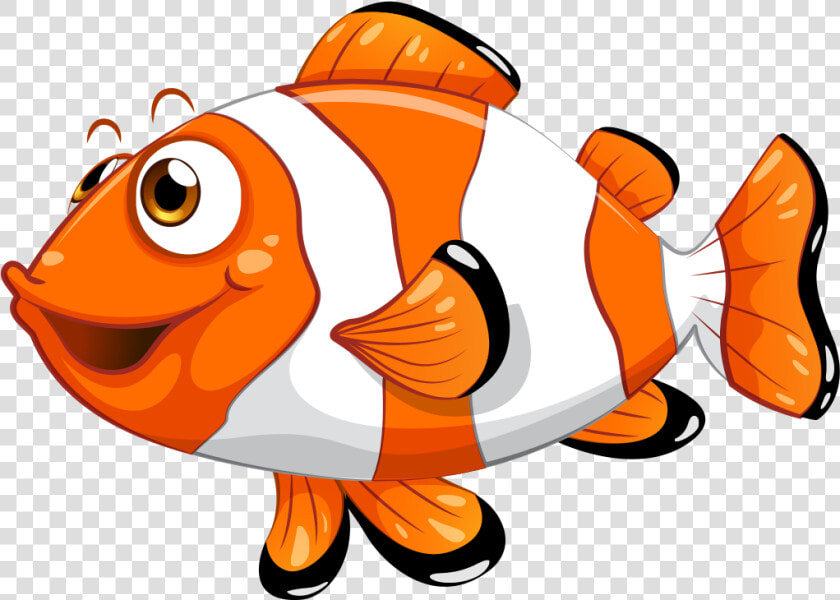 Transparent Clown Fish Clipart   Clipart Clown Fish Png  Png DownloadTransparent PNG