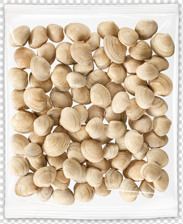 Clams   Wood  HD Png DownloadTransparent PNG