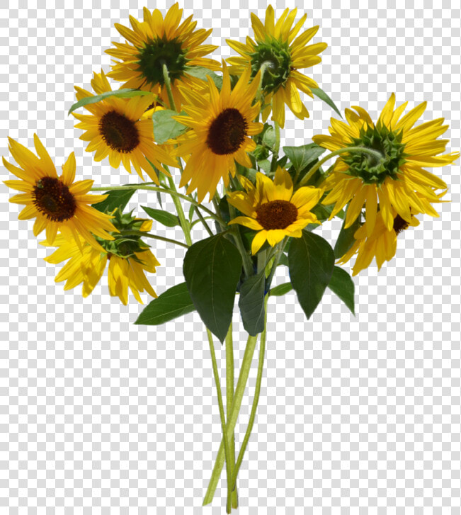  sunflower  cute  yellow  flowers  daisy  iverlay  aesthetic   Bunch Of Sunflowers Png  Transparent PngTransparent PNG