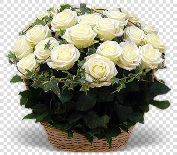 White Roses Basket   Открытки С Днем Рождения Белые Розы  HD Png DownloadTransparent PNG