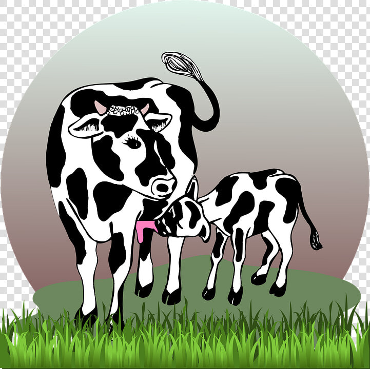 Cow With Calf  Cow  Calf  Cattle  Farm  Agriculture   Cow With Calf Png  Transparent PngTransparent PNG