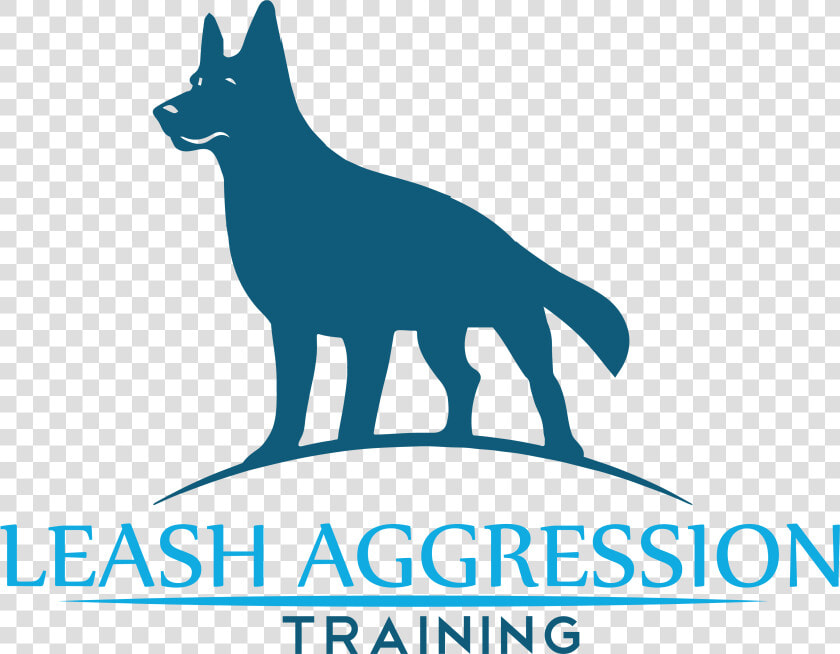 A Beginners Guide To Leash Reactivity  HD Png DownloadTransparent PNG