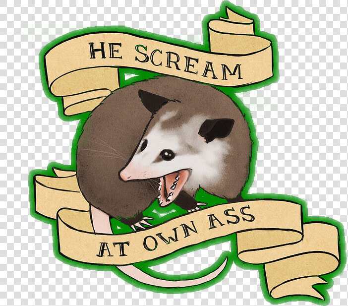 Iphone   Png Download   Opossum Iphone  Transparent PngTransparent PNG